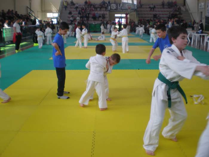 Judogio-4-15-Montevarchi.JPG